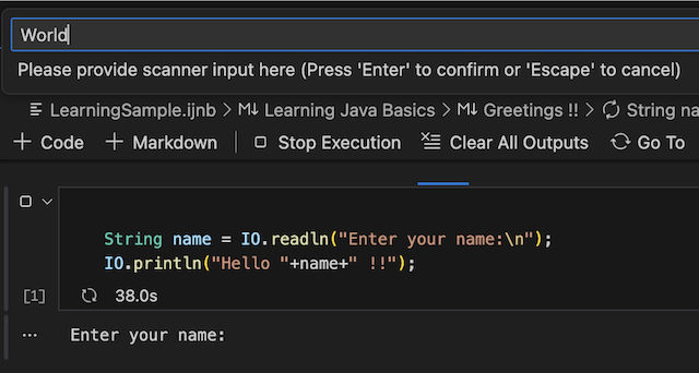 Run inputs