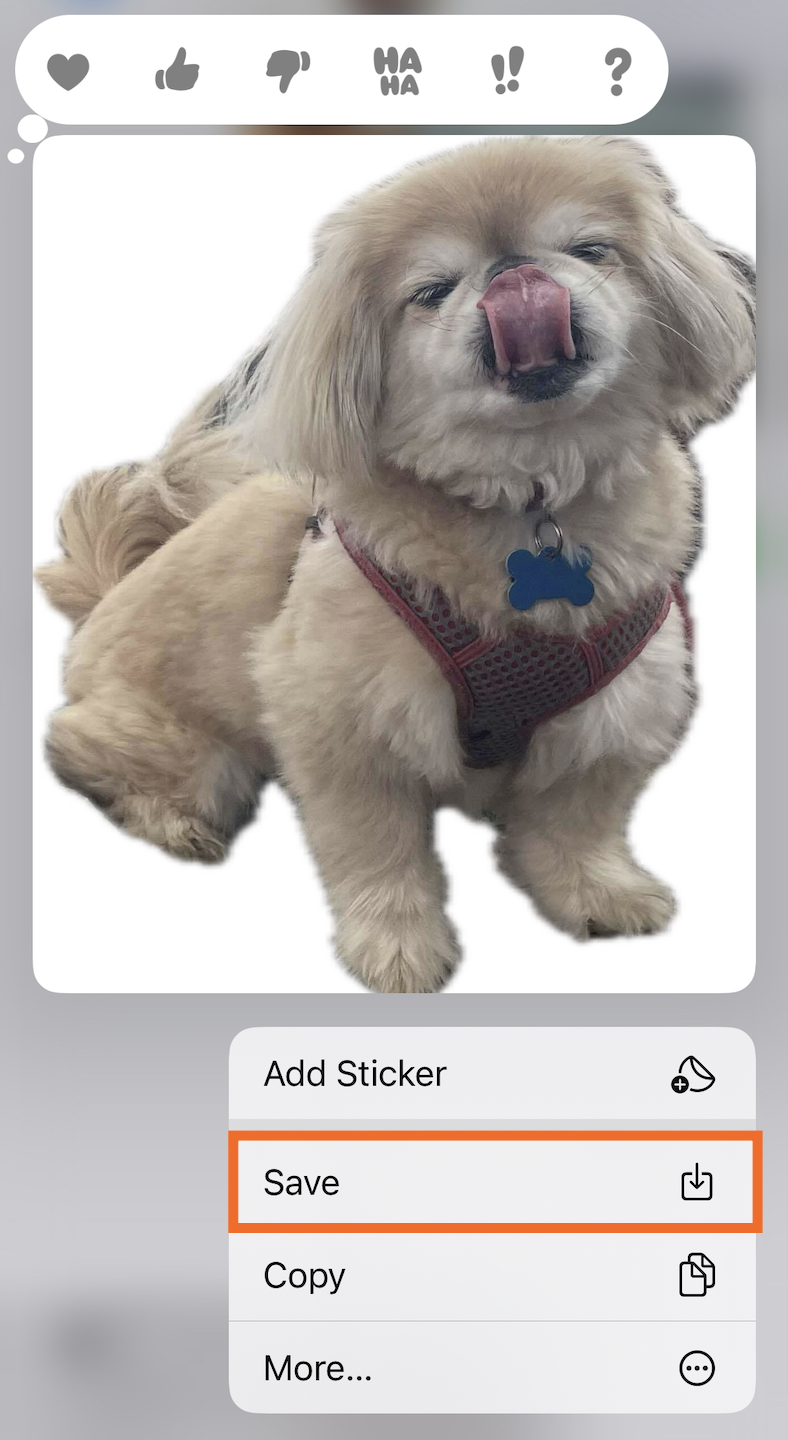 Expanded dropdown that appears if you tap and hold an image shared in iMessage. The save button is highlighted.