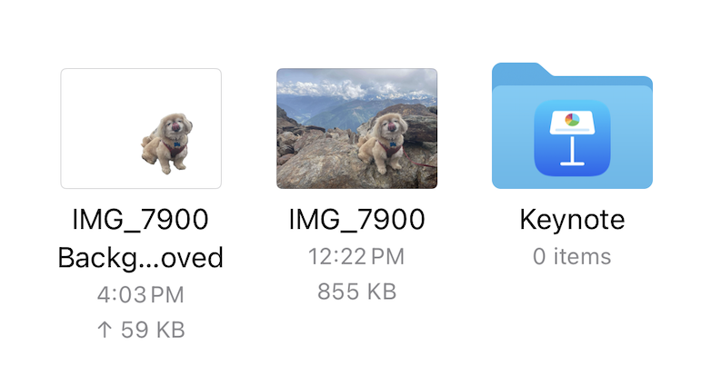 Files app with an original photo next to another photo that contains only the subject of the original photo.